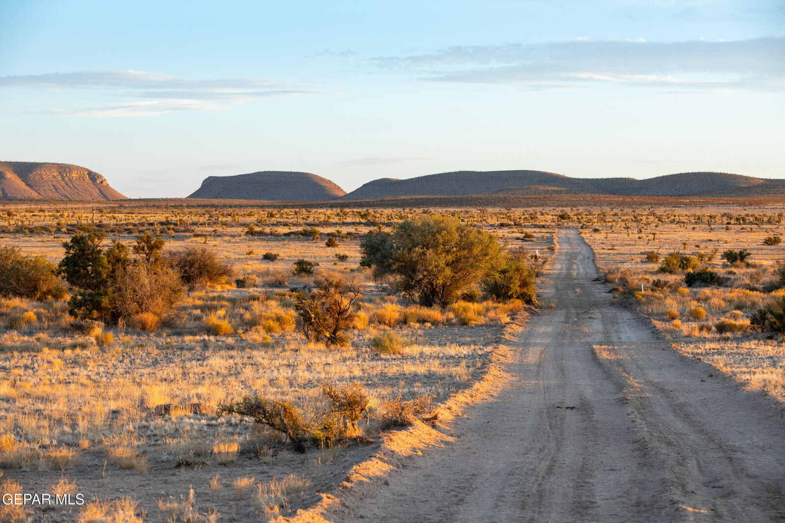 Property Photo:  Pn 14848 Tbd 103, Phase I Lots 11-13  TX 79851 