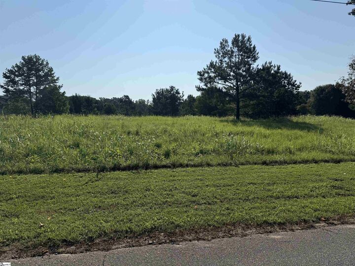 Property Photo: 0 Joe Leonard Road SC 29651-0000
