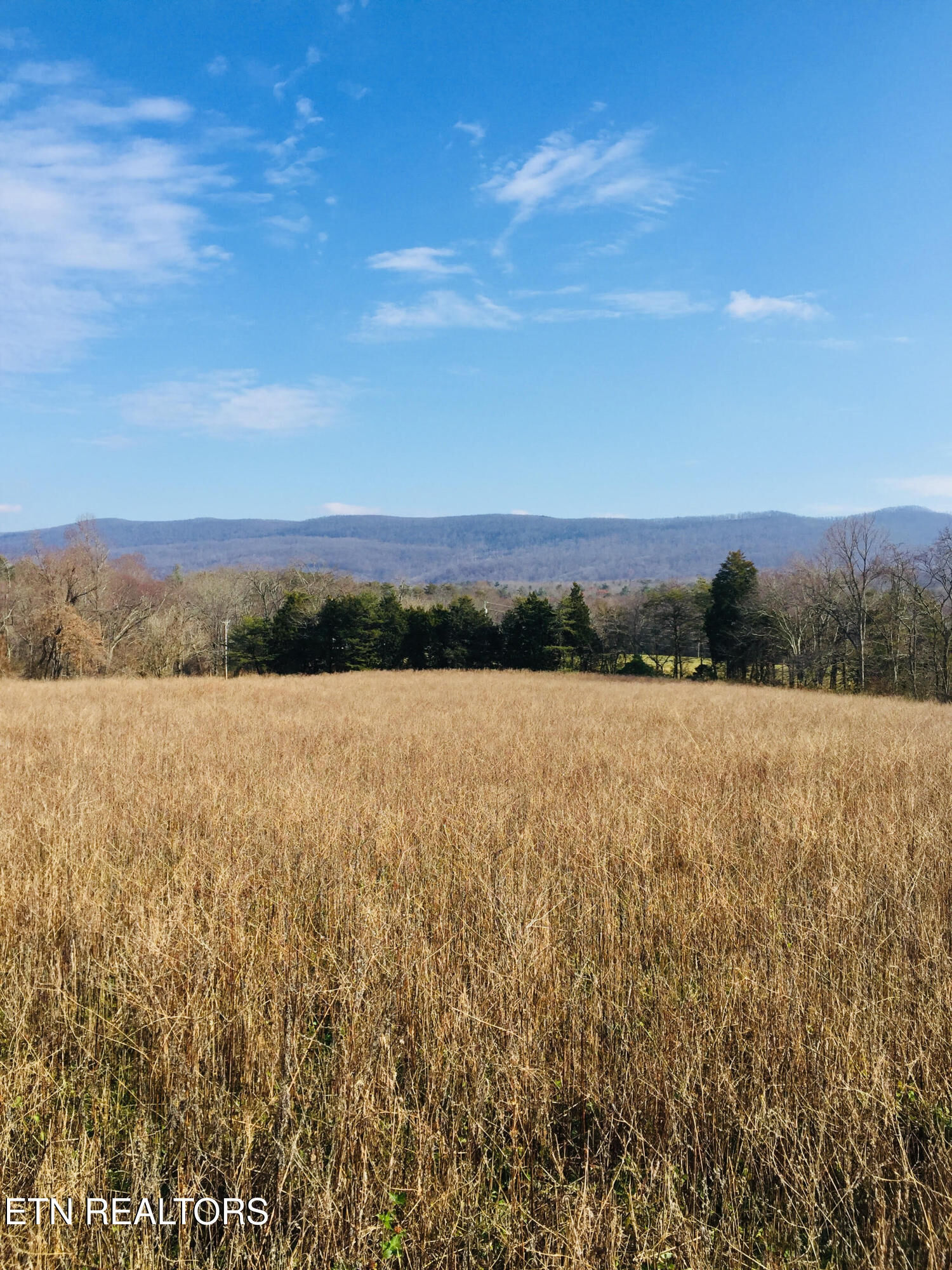 Property Photo: 10802 S Highway 127 TN 38572