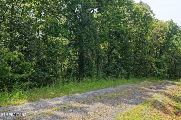 Property Photo:  Lot 27 Shady Oaks Way  TN 37876 