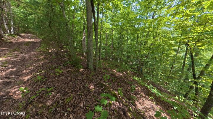 Property Photo:  Lot 25 Shady Oaks Way  TN 37876 