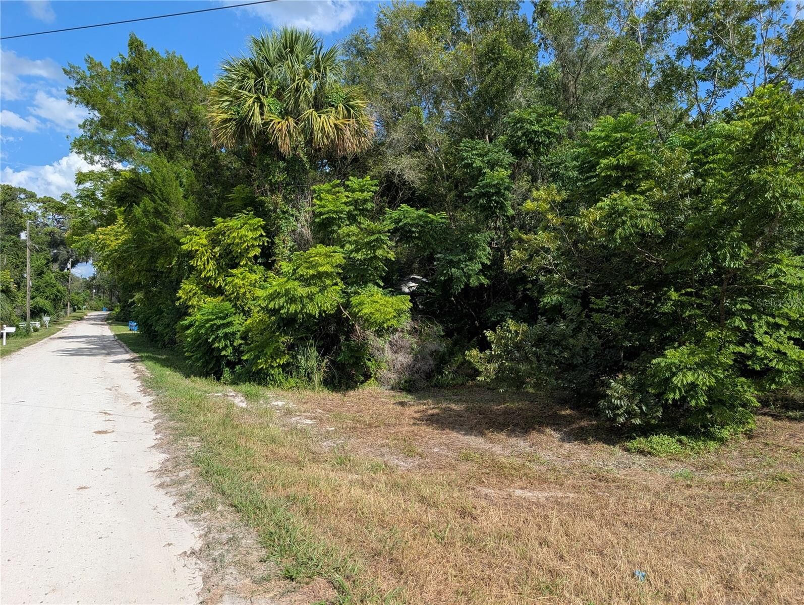 Property Photo: 700 Grant Avenue FL 32724