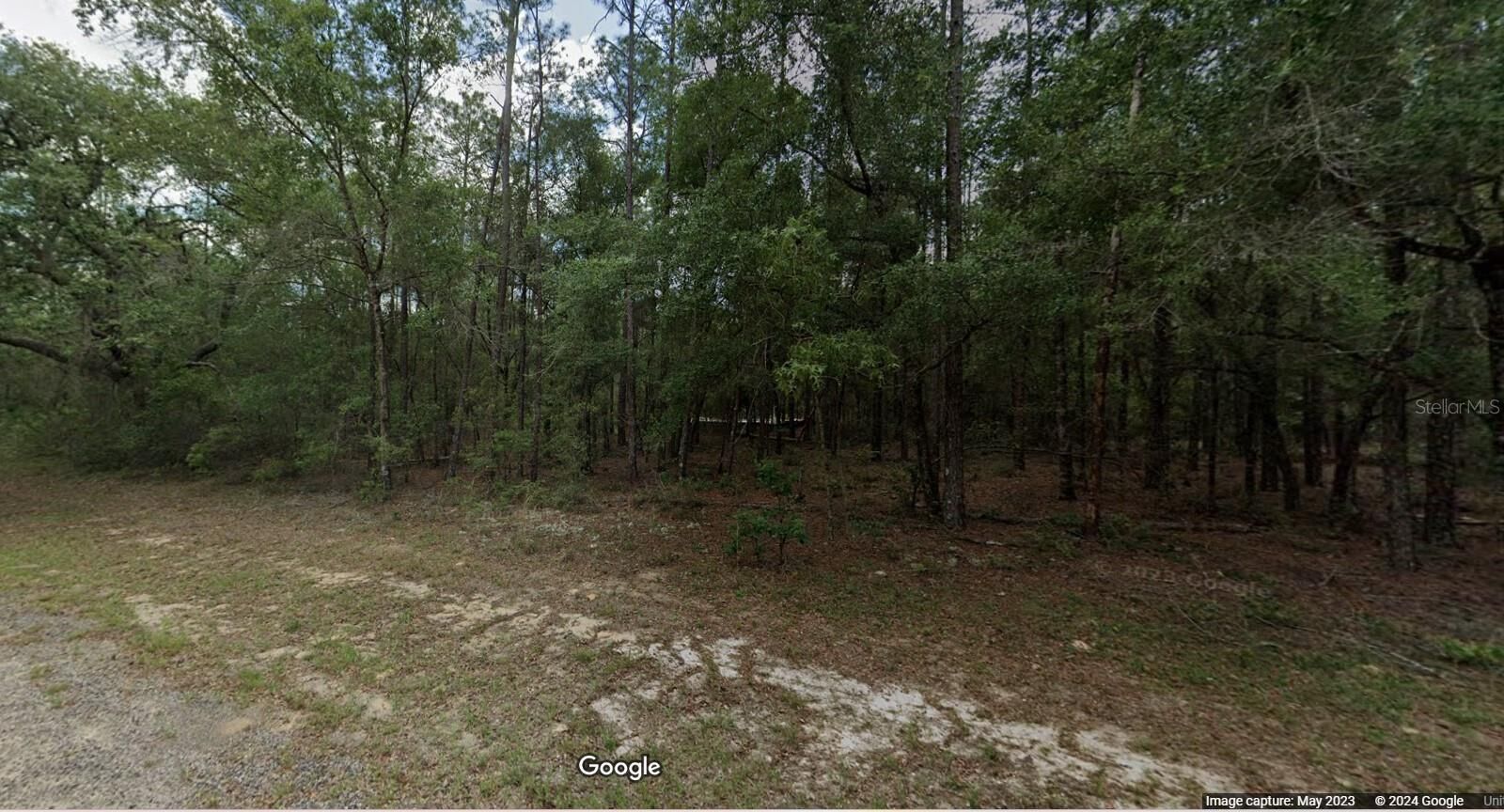 Property Photo: 194 E Falcon Street FL 34434