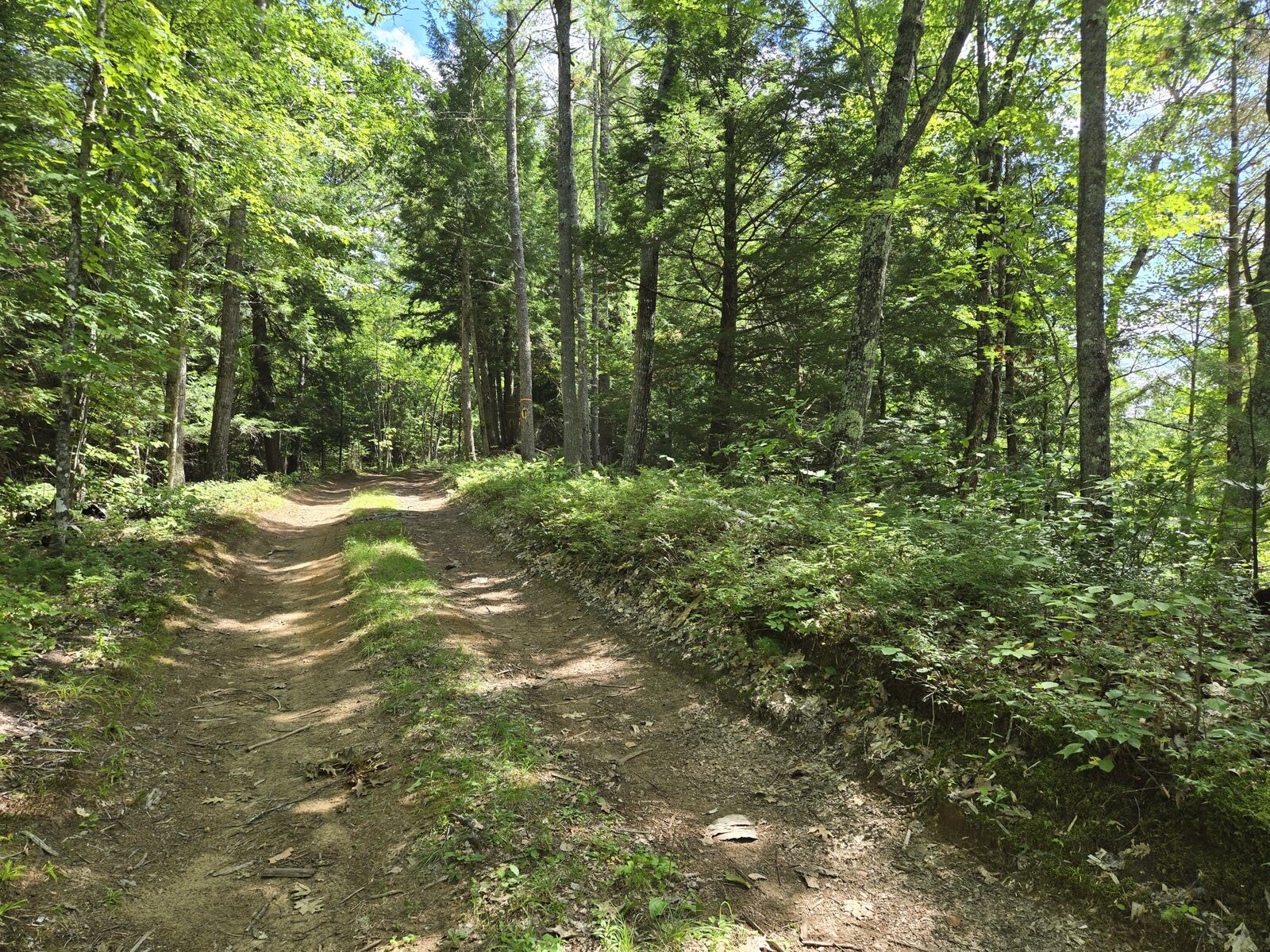 Property Photo: Lot 8 East Andover Road ME 04216