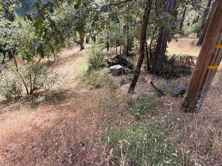 Property Photo:  558 Roan Way  CA 95224 