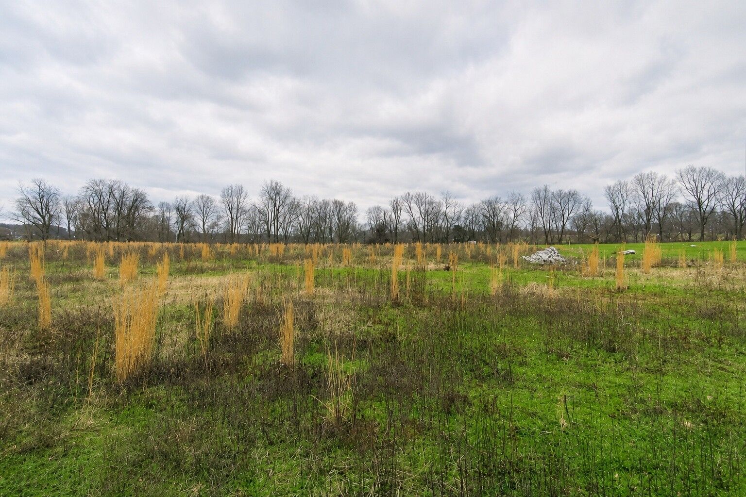 Property Photo:  3126 Wixtown Rd  TN 37186 