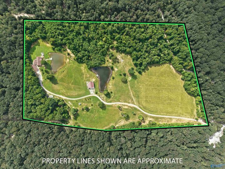 Property Photo:  1050 County Road 303  AL 35766 