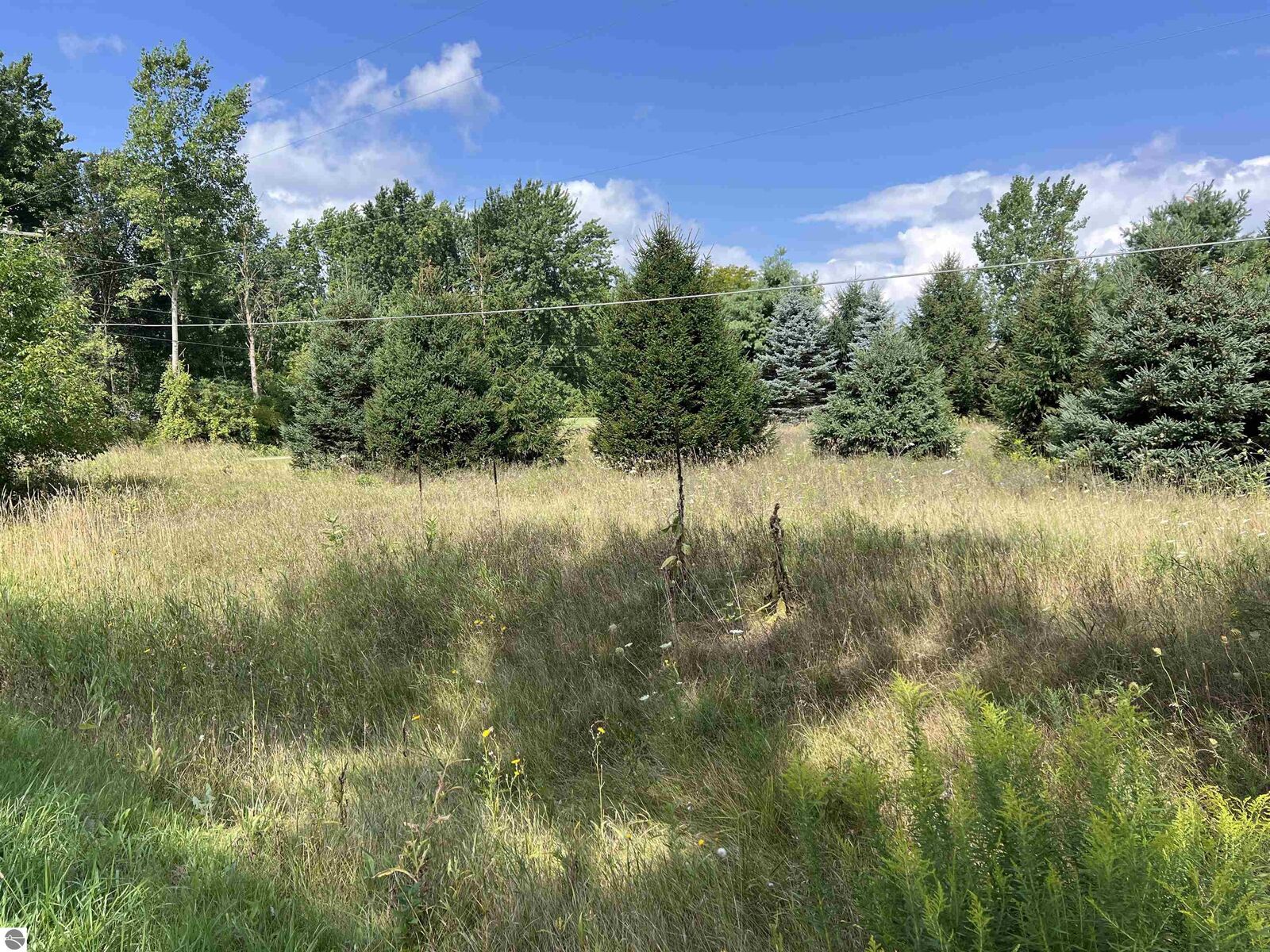 Property Photo:  E River Road  MI 48858 