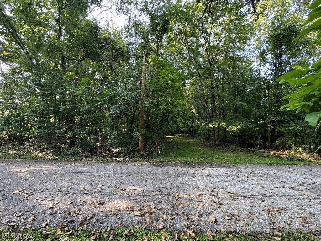 Property Photo:  Antone Avenue  OH 44278 