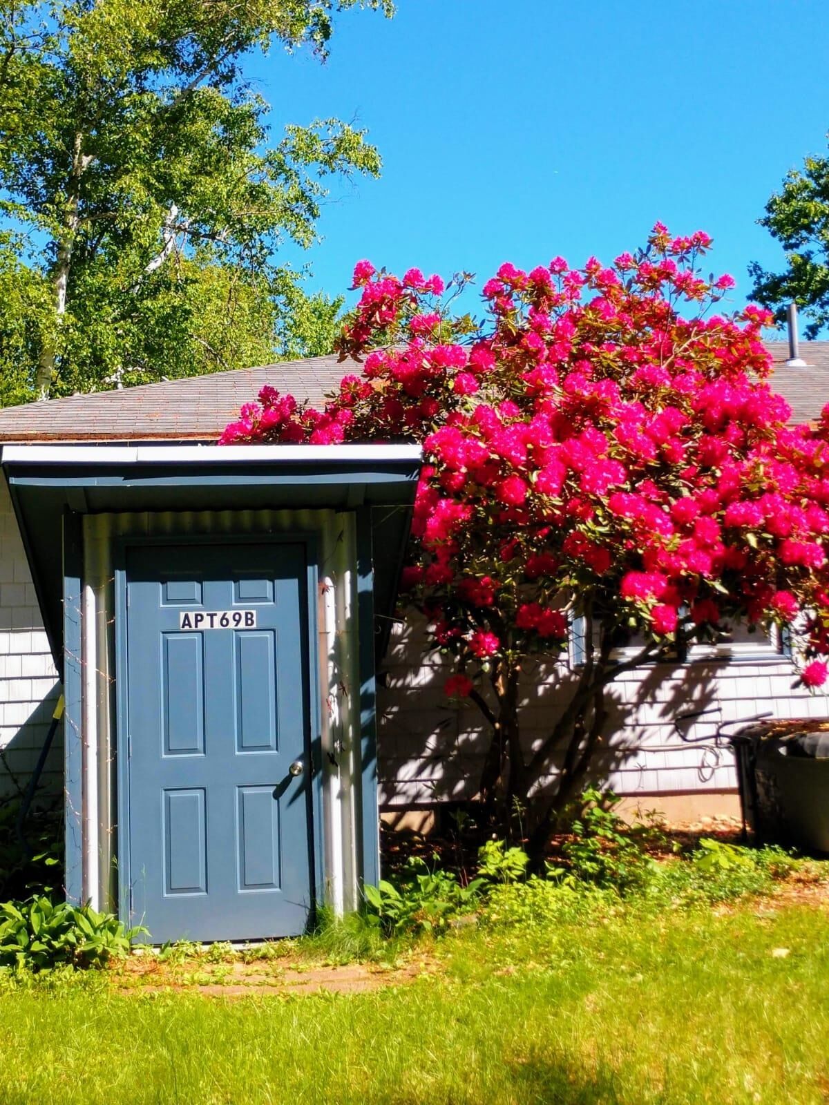 Property Photo:  69 Piscataqua Road  NH 03824 
