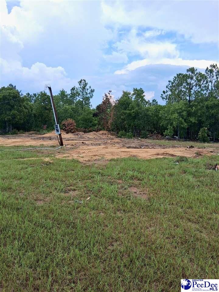 Property Photo:  2298 Bullard Ford Road  SC 29550 