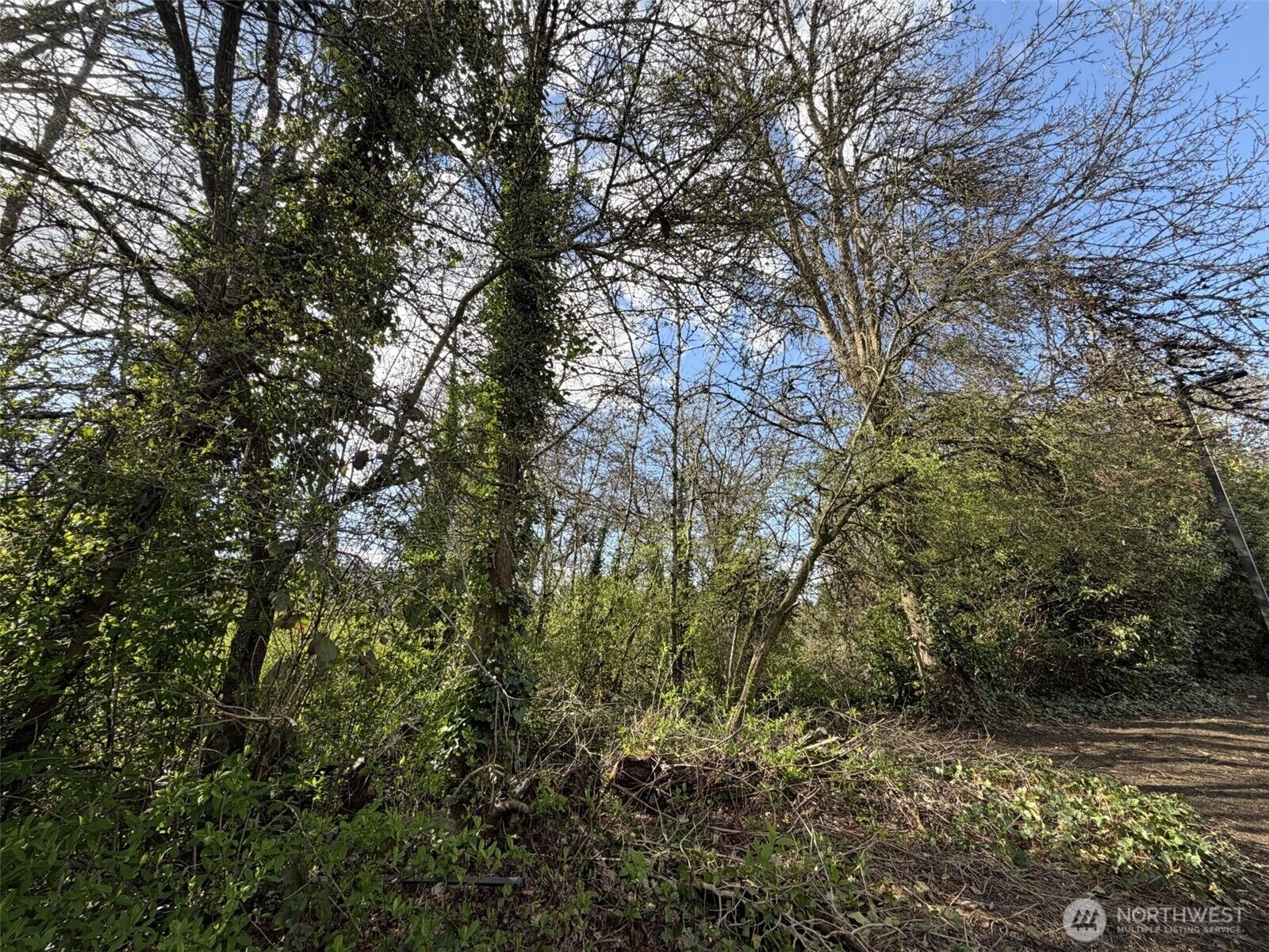 Property Photo:  5722  35th Avenue S  WA 98118 
