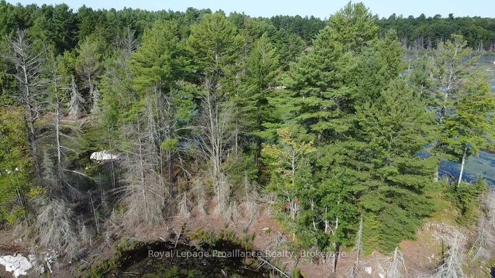 Property Photo:  Pl29c10 Kennebec Road  ON K0H 2G0 