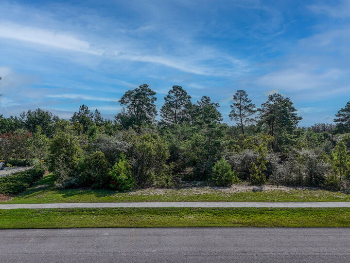 Property Photo:  95 Fairway Crossing  FL 32439 