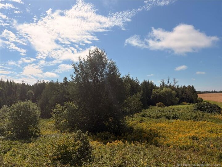 Property Photo:  N/A Brookville Road  NB E7K 1M3 