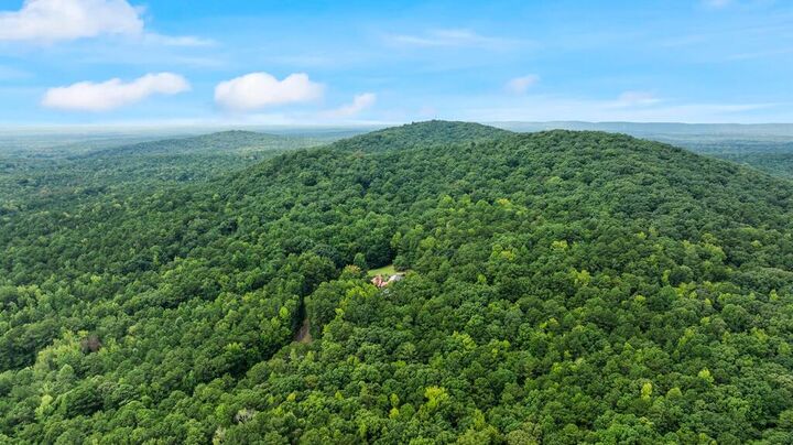 Property Photo:  460 Roger Copeland Road  GA 31811 