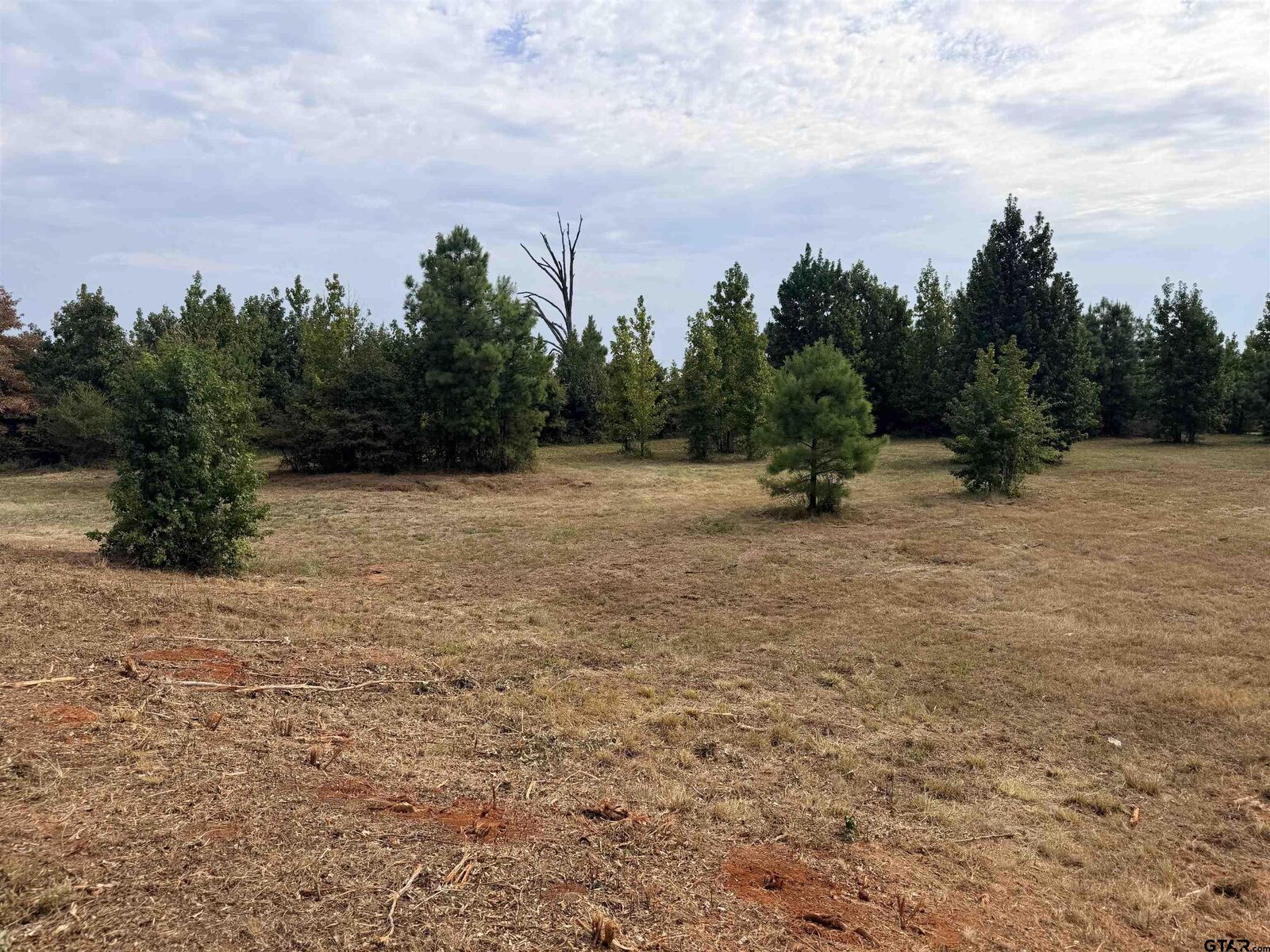 Property Photo: Tbd County Road 353 S TX 75654