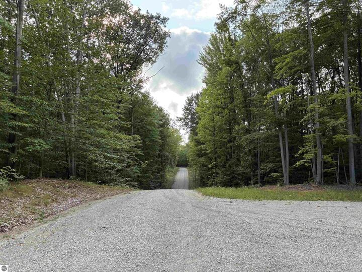 Property Photo: Emmetts Trail MI 49650