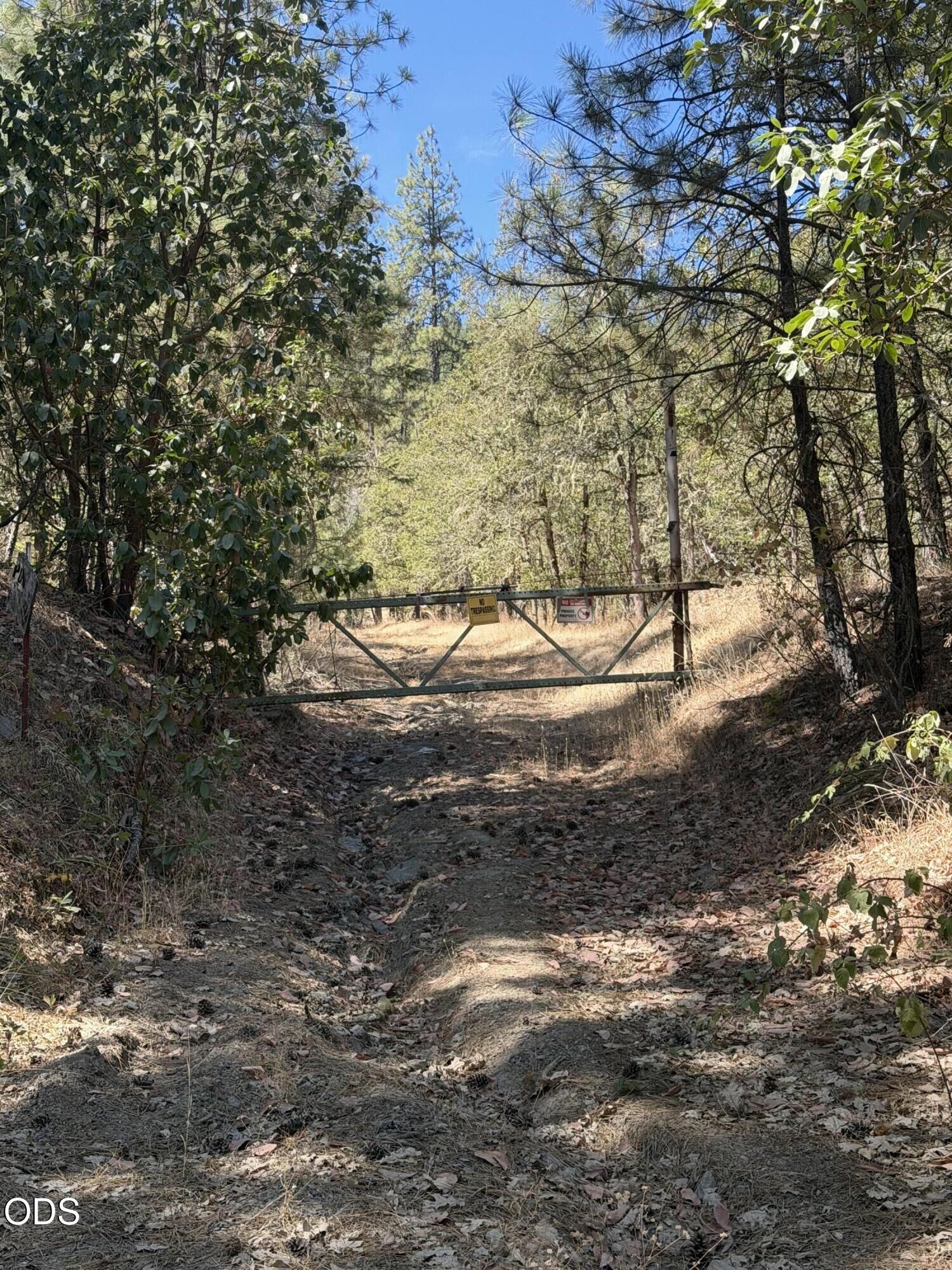 Property Photo:  3303 Foots Creek Road  OR 97525 