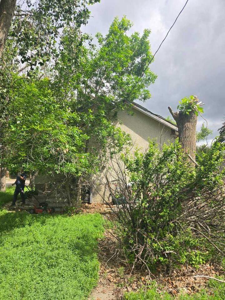 Property Photo:  377 2 Street NW  AB T1A 6J7 