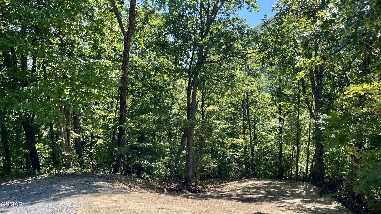 Property Photo:  23 &Amp 24 Red Maple Lane  TN 37876 