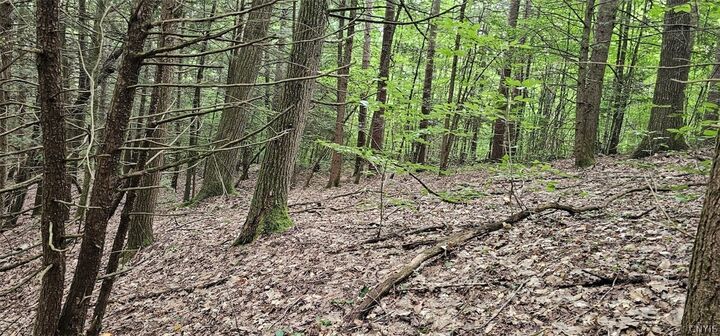 Property Photo:  Union Hill Road  NY 13743 