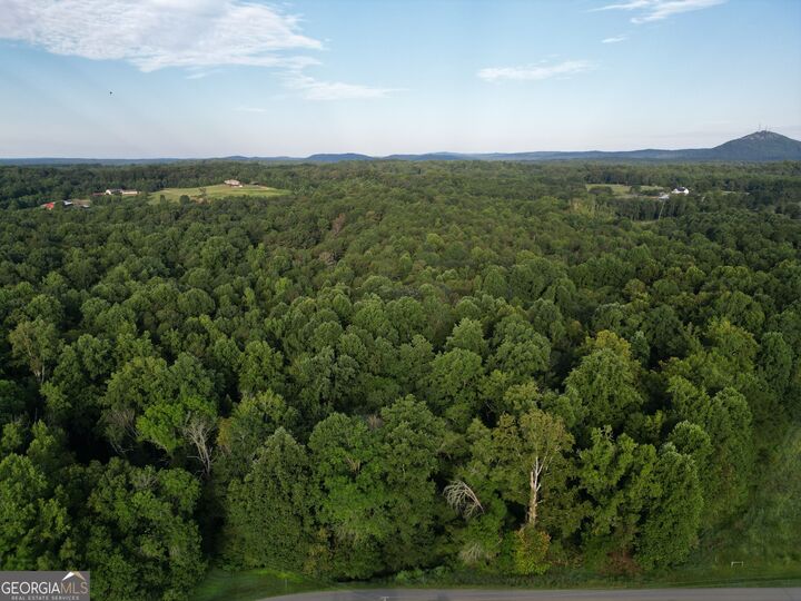 Property Photo: 0 N Broad River Road GA 30538