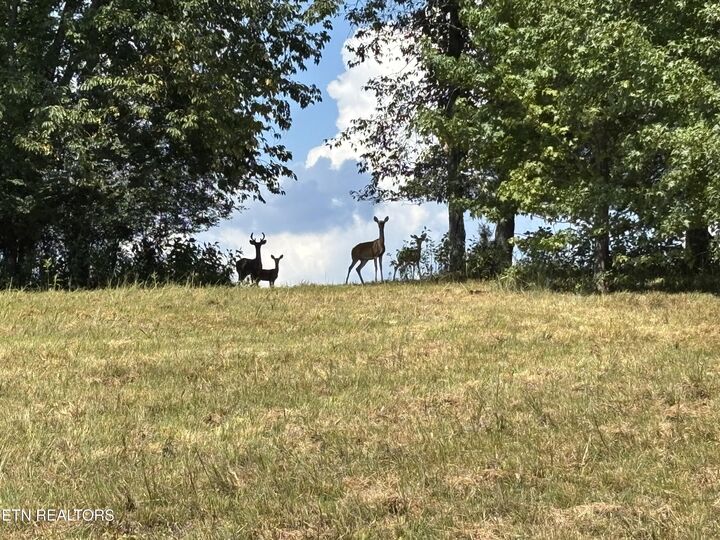 Property Photo: W Shore Drive TN 37854