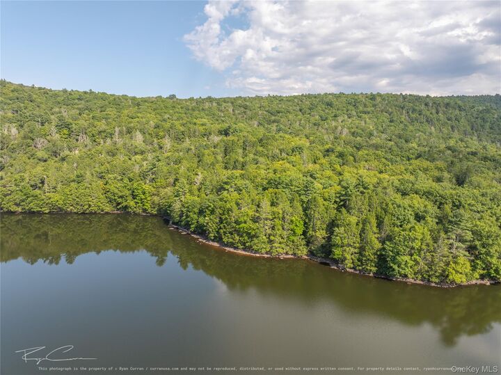 Property Photo:  Old Plank Road  NY 12777 