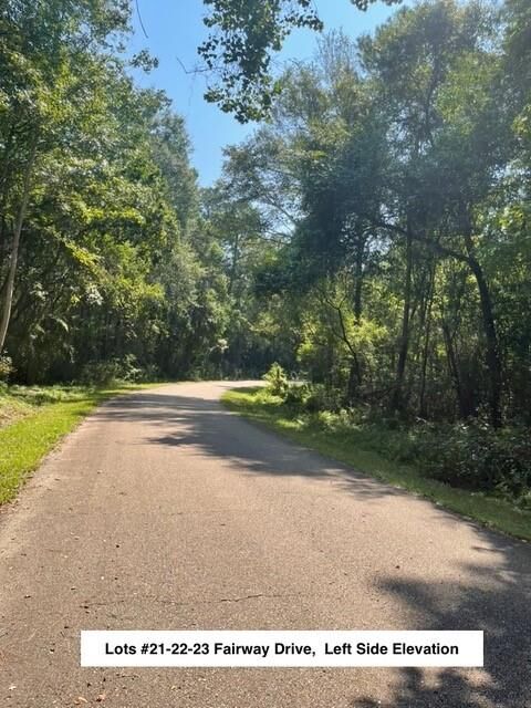 Property Photo:  Lot #23 Fairway Drive  LA 70420 