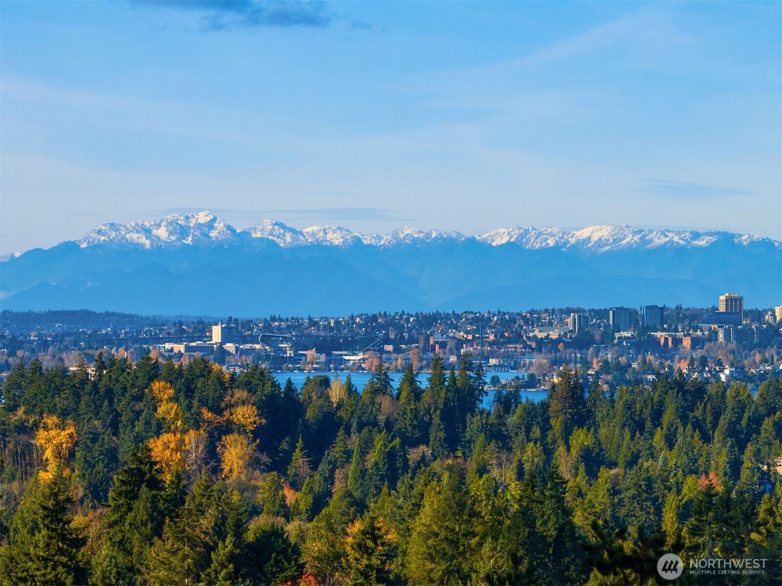 Property Photo:  2627  96th Avenue NE  WA 98004 