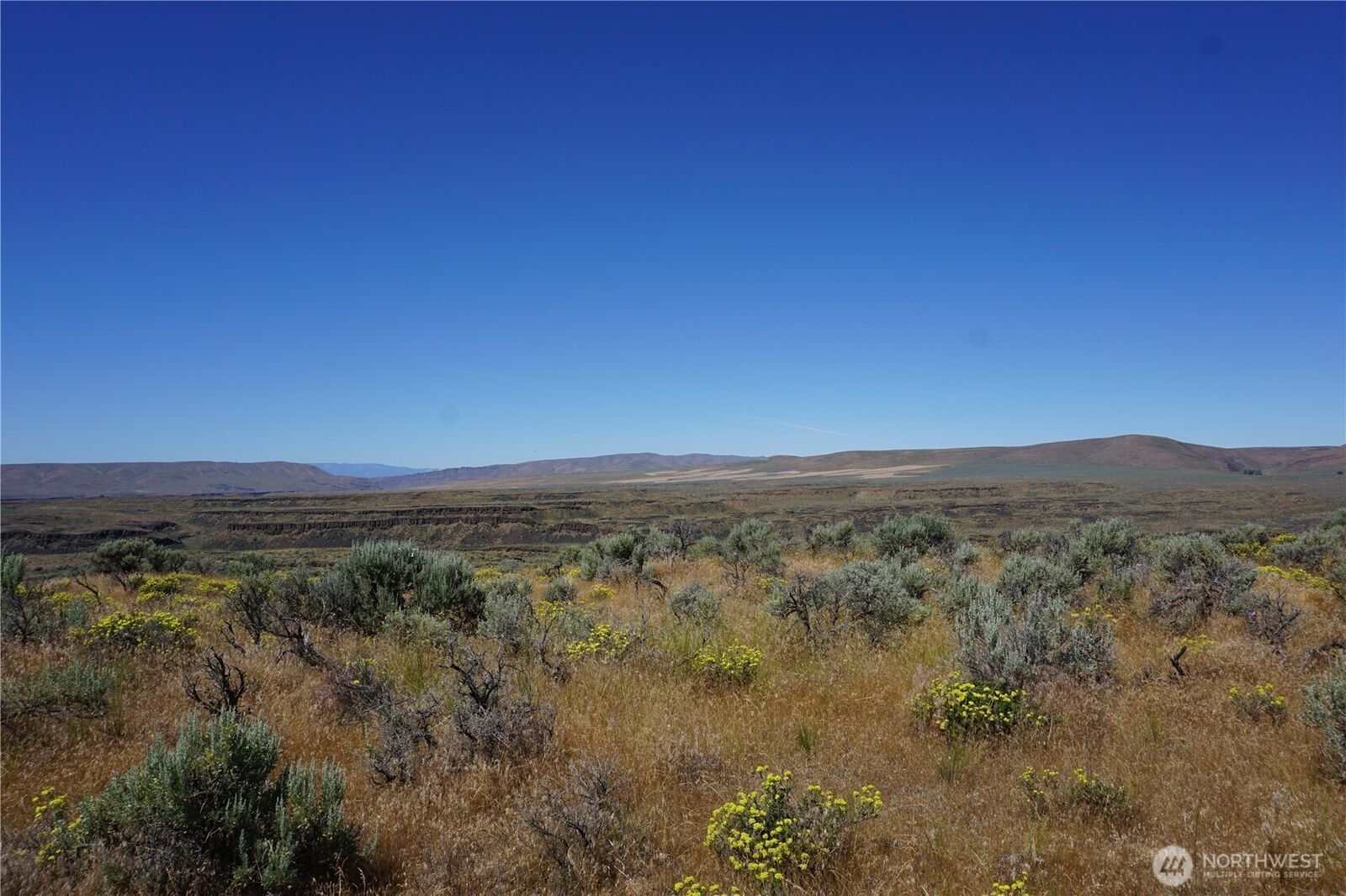 Property Photo: 54143 Appaloosa Way WA 98823