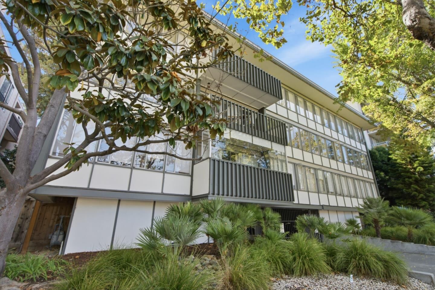 Property Photo:  808 Laurel Avenue 202  CA 94401 
