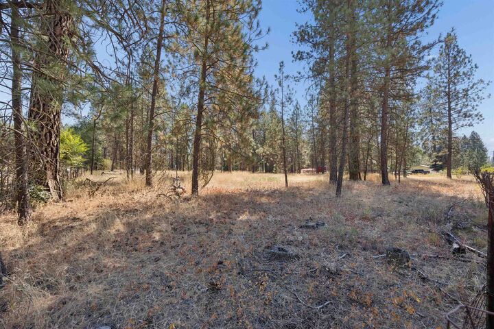 Property Photo:  21324 N Myrtle Rd  WA 99005 