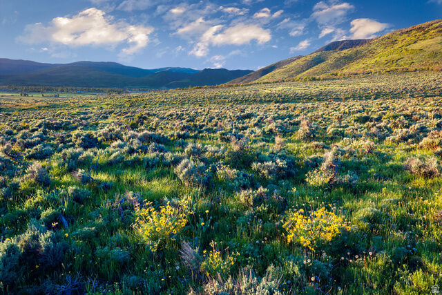 Property Photo:  995 E Hoyt Peak Ranch Rd 3  UT 84036 