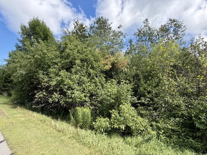 Property Photo: 3181 Canton Drive MI 49721