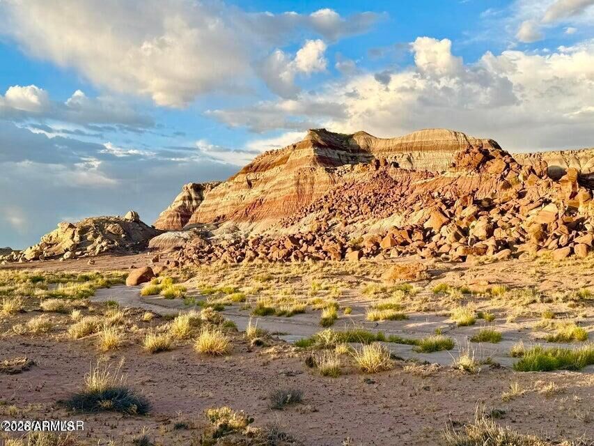 Property Photo:  8983 Down Under Rd 38.82 Acres --  AZ 86025 