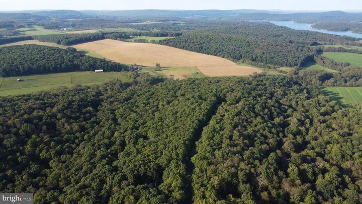 Property Photo: Lot 4 Hunters Ridge Drive MD 21550