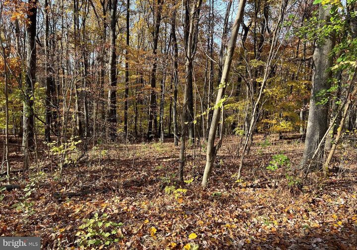 Property Photo: 0 N Hill Church Road PA 17036