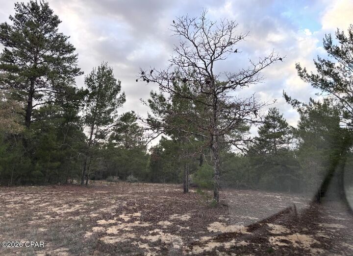 Property Photo:  00 Fairhaven Drive Lot 10  FL 32428 