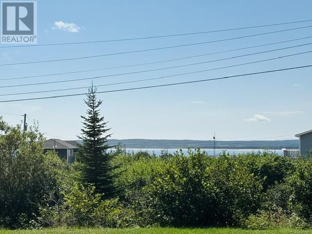 Property Photo:  71 Main Street  NL A1V 1V0 