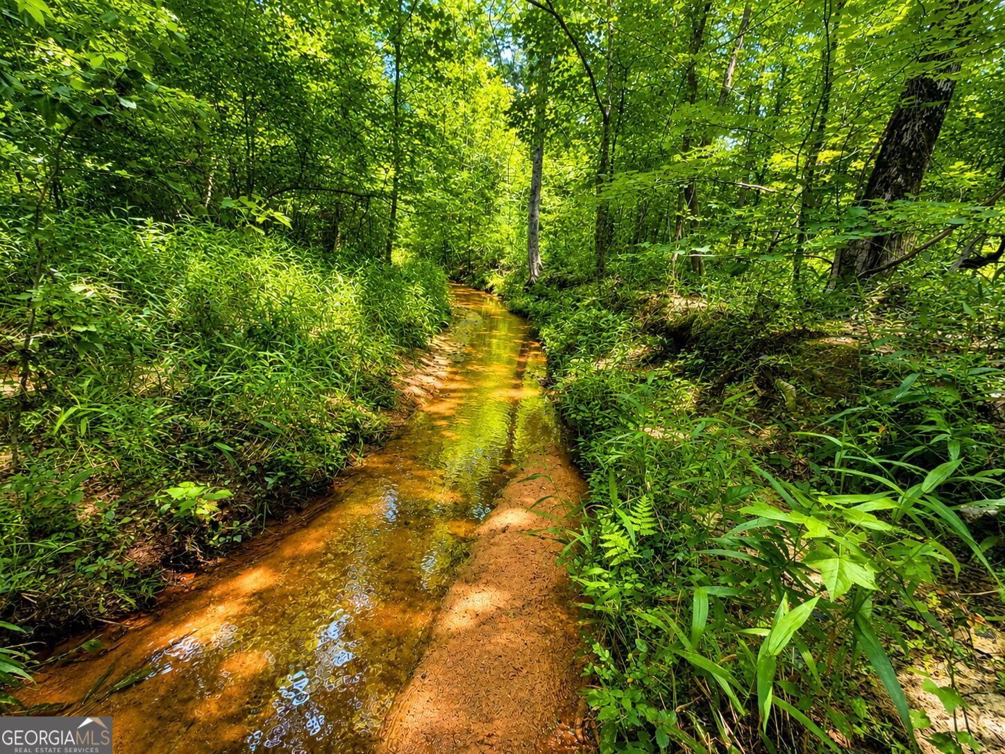 Property Photo: 29 Acres Cochran Road GA 30650
