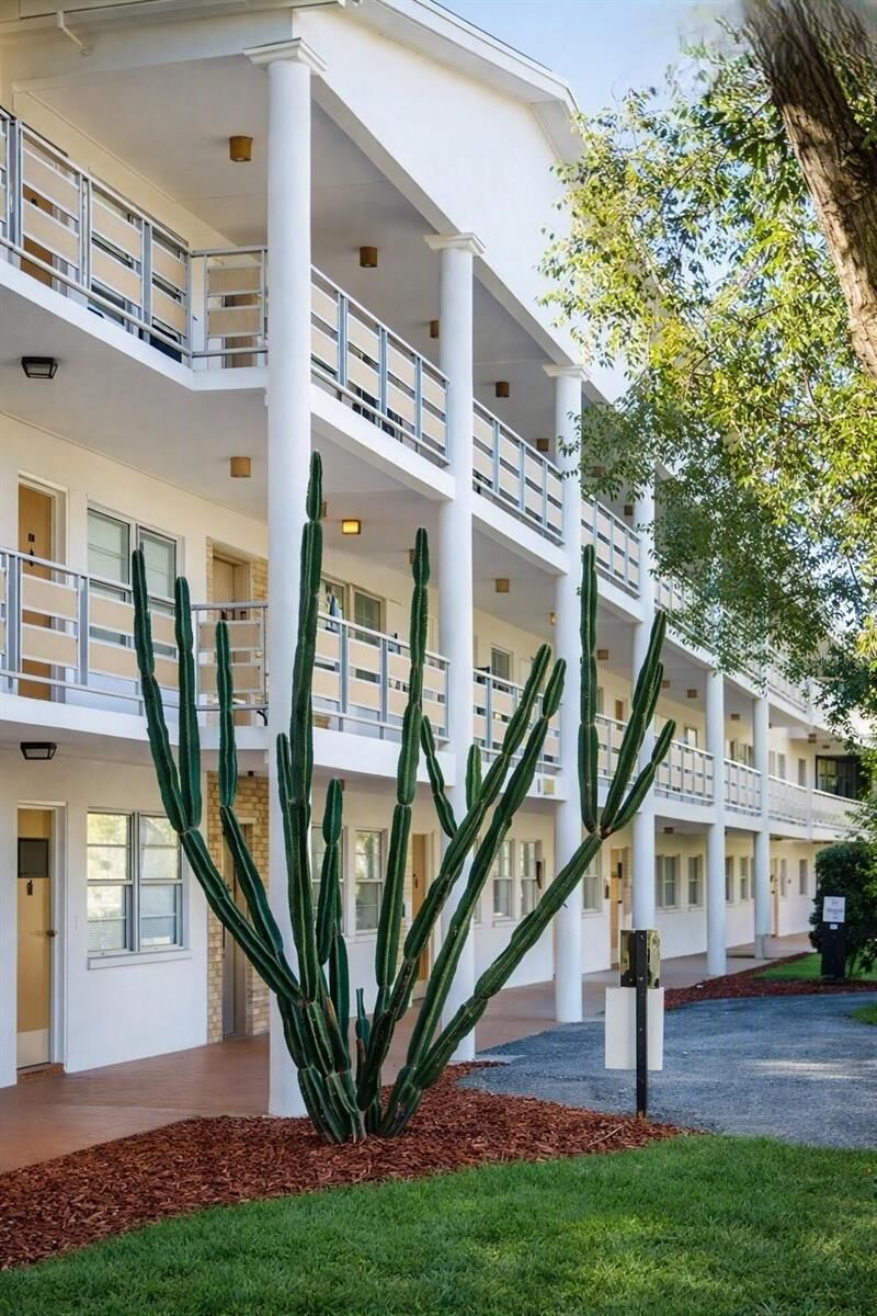 Property Photo:  911 Washington Avenue 117  FL 33770 