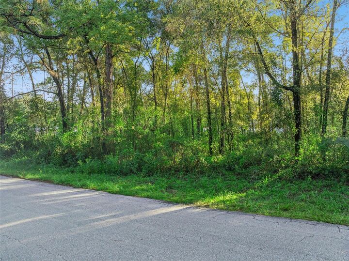 Property Photo: 29 N Rooks Avenue FL 34453
