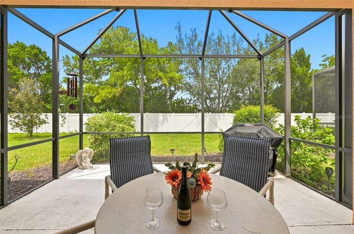 Property Photo:  229 Silver Falls Drive  FL 33572 