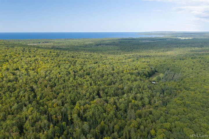 Property Photo: Tbd 40 Acres Martin Road MI 49806
