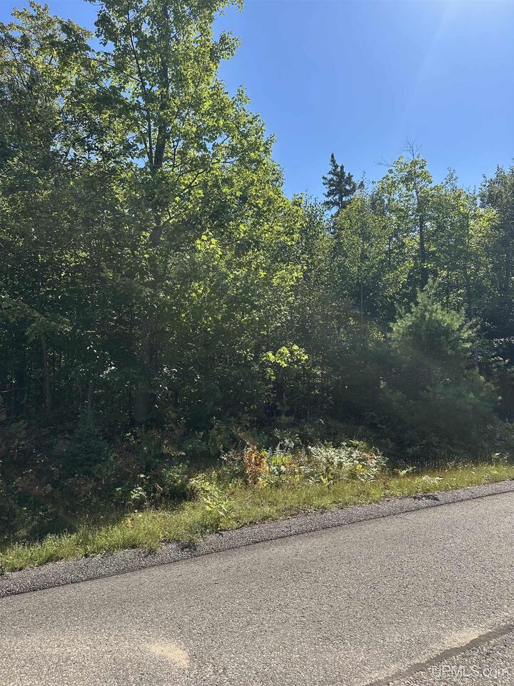 Property Photo: 140 Meco Court Road MI 49855