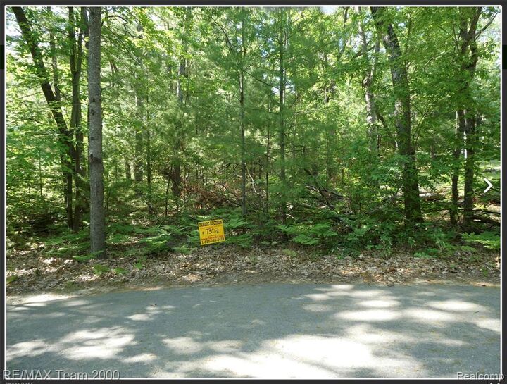Property Photo: Bunny Run Vacan Bunny Run MI 48629
