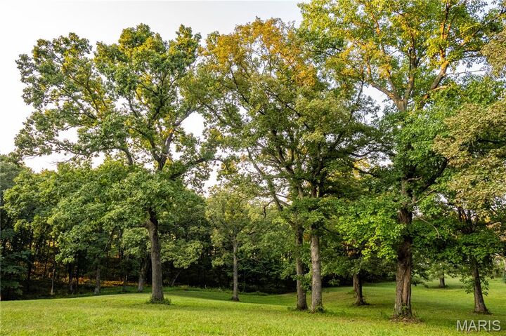 Property Photo: 0 Highway D - Tract 6 (23.6+/- Acres) MO 63344
