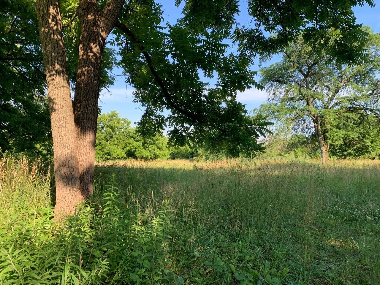 Property Photo:  3523 Long Grove Road  IL 60047 